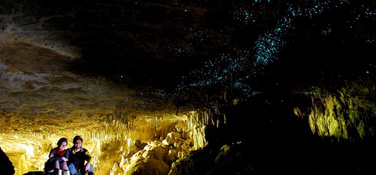 Jeskyně světlušek na Novém Zélandu